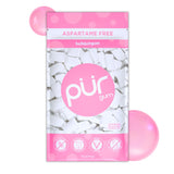 PUR Gum 100 Percent Xylitol Spearmint Chewing Gum Safe for Kids with Allergies and Sensitive Diets Lunchbox Ready Pieces