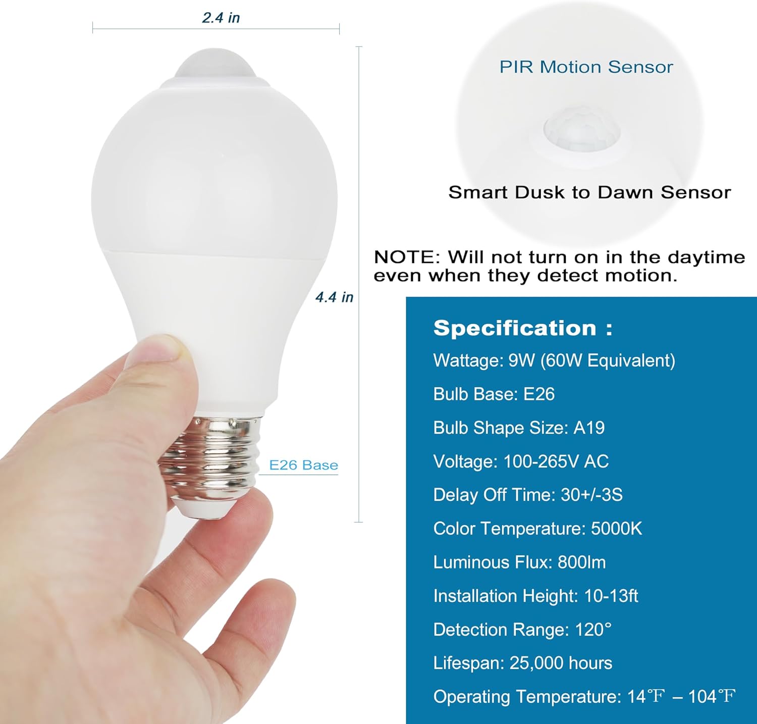 Dusk to Dawn Motion Bulb – Child Friendly Lighting for Bedroom, Bathroom, Stairway, Shared Family Spaces
