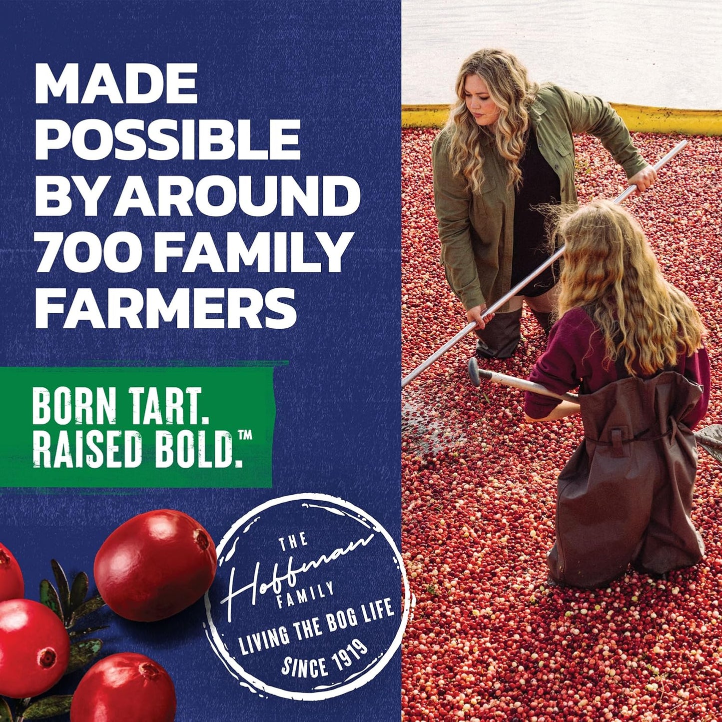Ocean Spray Cran-Apple Juice Drink – Stocking Stuffer Sized Bottles for Vitamin C Lovers