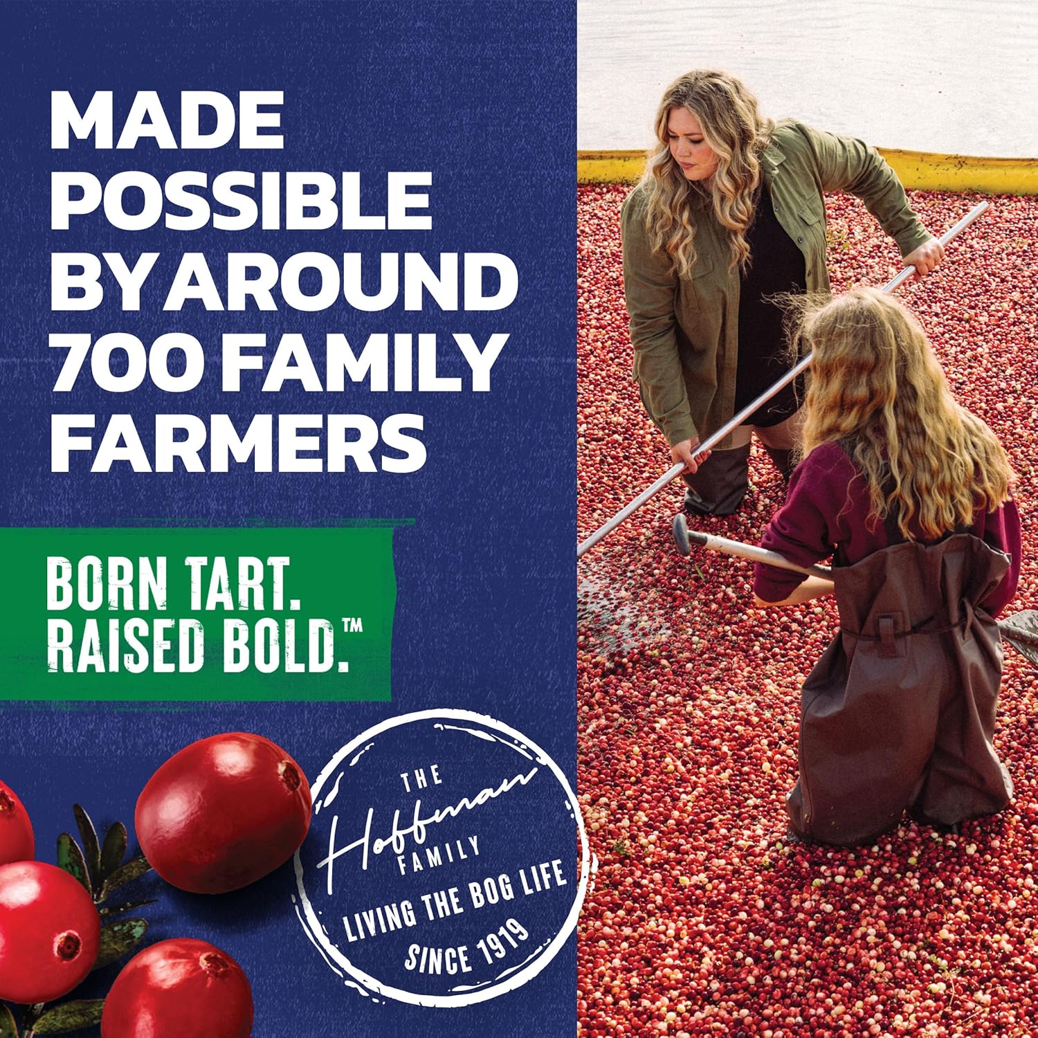 Ocean Spray Cran-Apple Juice Drink – Stocking Stuffer Sized Bottles for Vitamin C Lovers