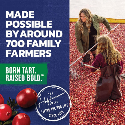 Ocean Spray Cran-Apple Juice Drink – Stocking Stuffer Sized Bottles for Vitamin C Lovers