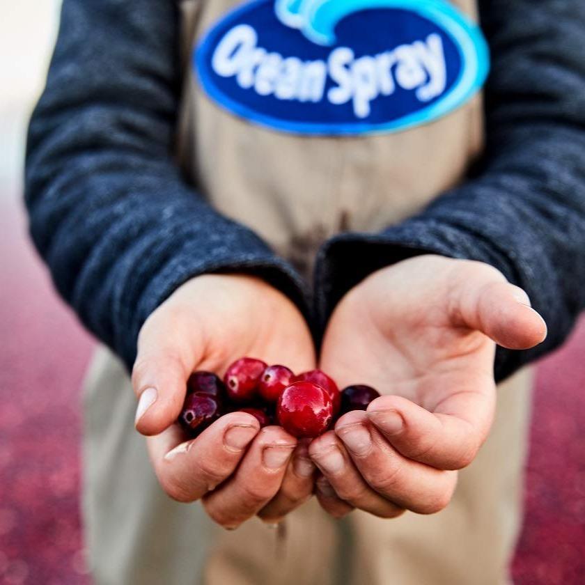 Ocean Spray Cran-Energy Cranberry Raspberry Energy Juice Drink for Home Wellness Rituals and Mindful Energy Replacement