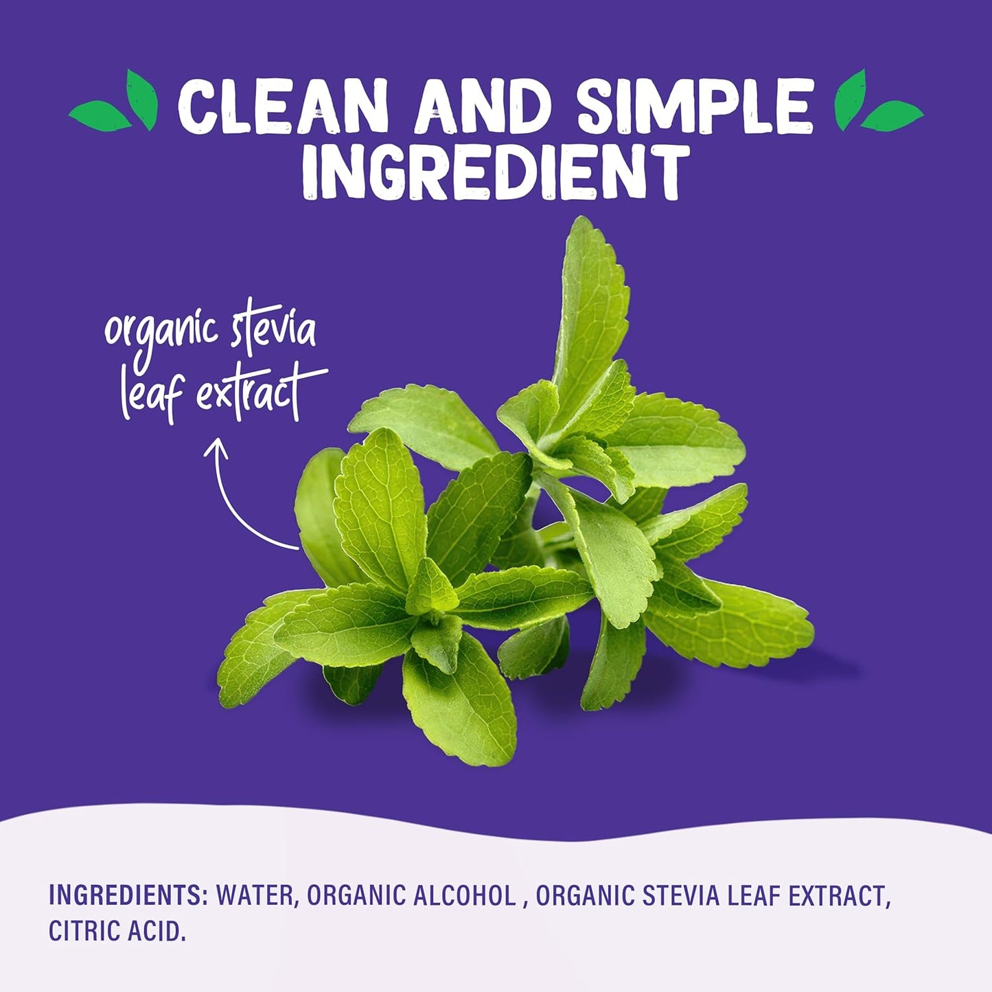 Pyure Organic Stevia Extract – Allergen Free Plant Sweetener Safe for Sensitive Diets